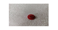 固定扣(母) 紅色
